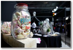 Salon Mariage Orchies 2016 (23) zoom
