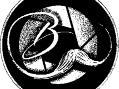 Bayard-Clement-Photographe-et-Videaste-240x180 Annuaire des prestataires Mariage by Festisalons