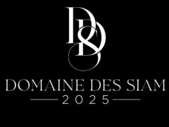 Le-Domaine-des-Siam-240x180 Annuaire des prestataires Mariage by Festisalons