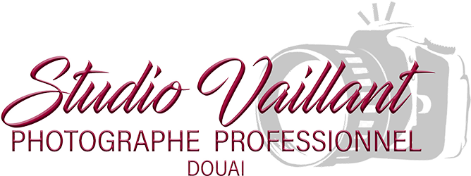 Studio-vaillant Studio Vaillant