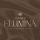 Agence Elumina elumina-80x80 elumina-80x80 Agence Elumina