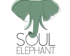 soul-elephant-225x180 Soul Elephant